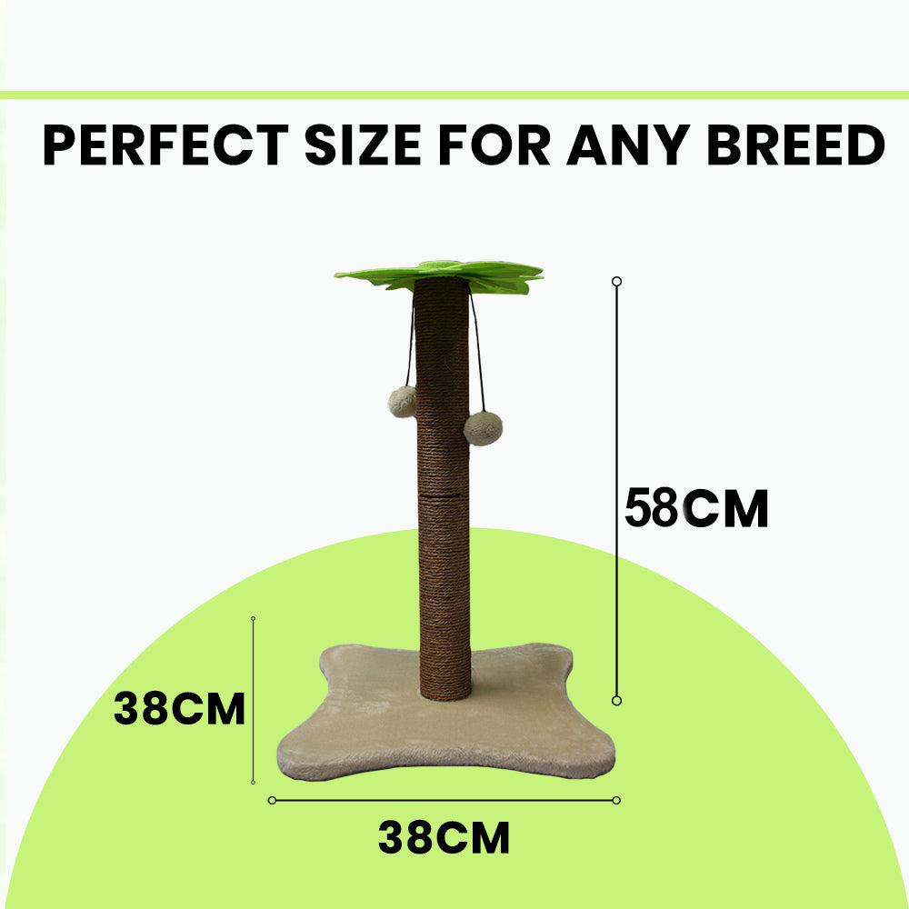 BASIL Cat Coconut Tree Scratcher with Dangler