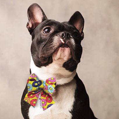 Doughnut Bow Tie