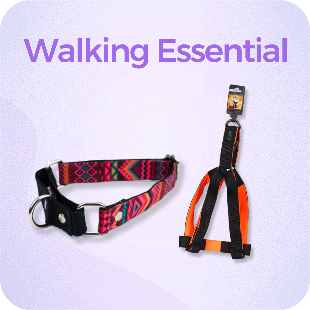 Dog Walk Essentials