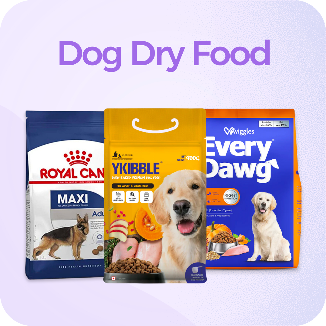 Dog Dry Food