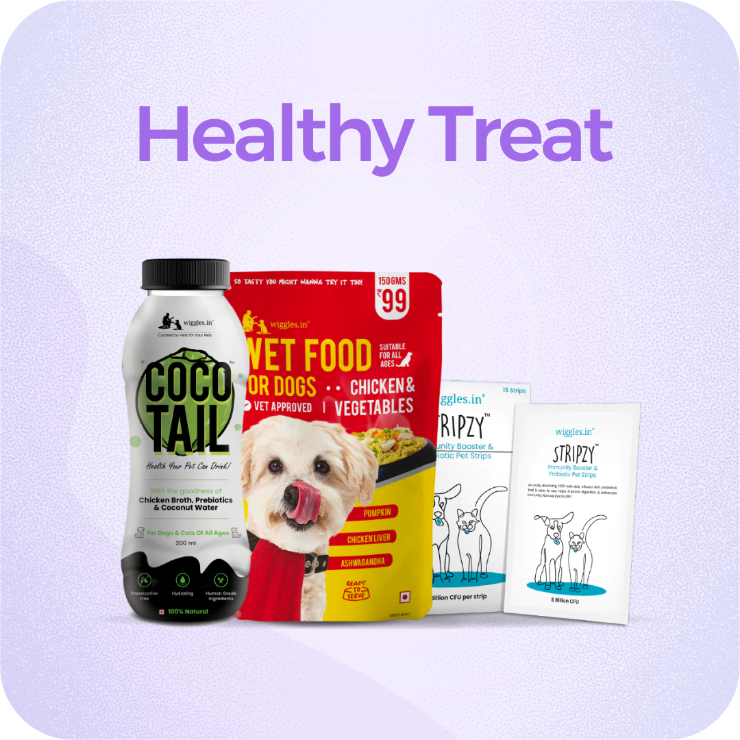 Dog Healthy Treats