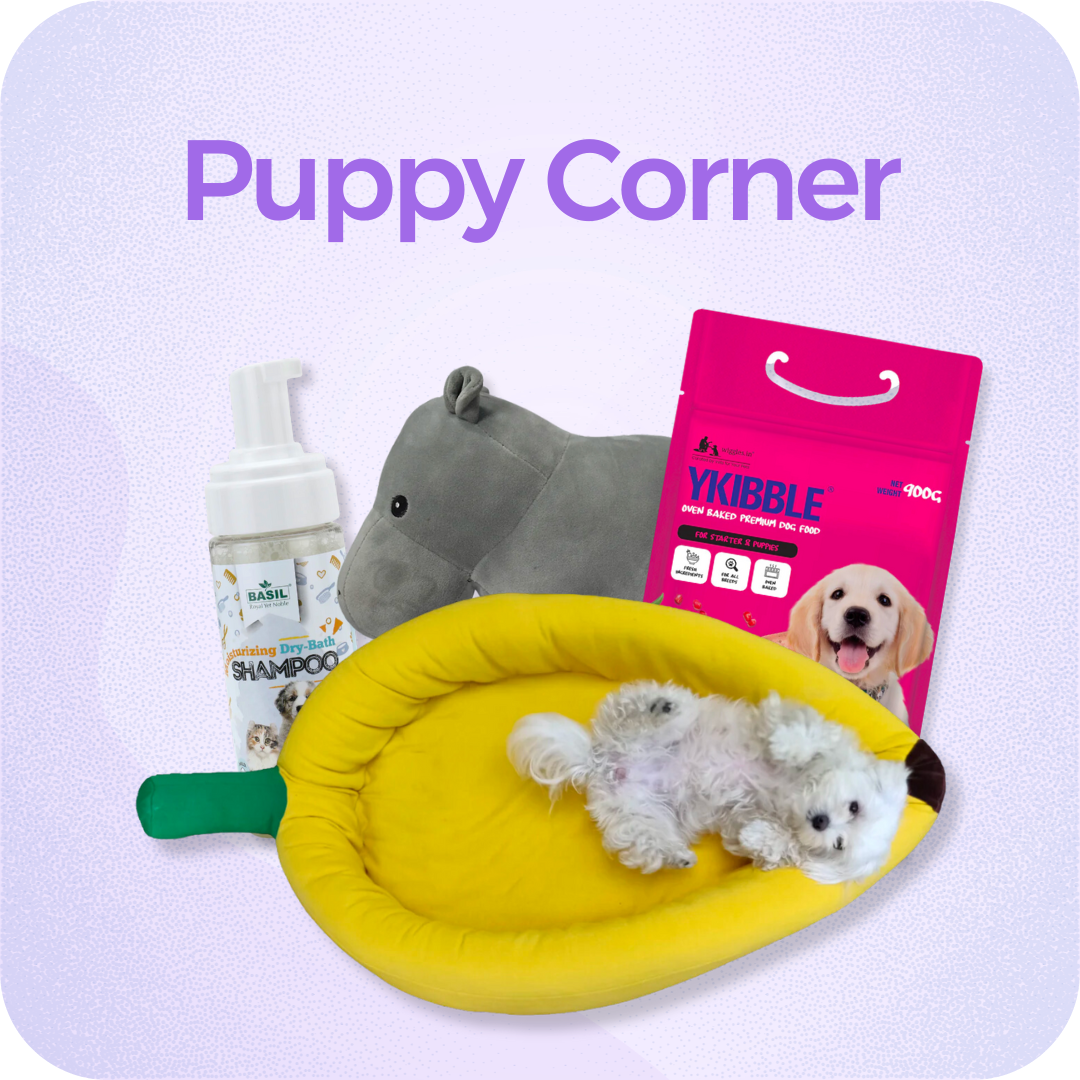 Puppy Corner