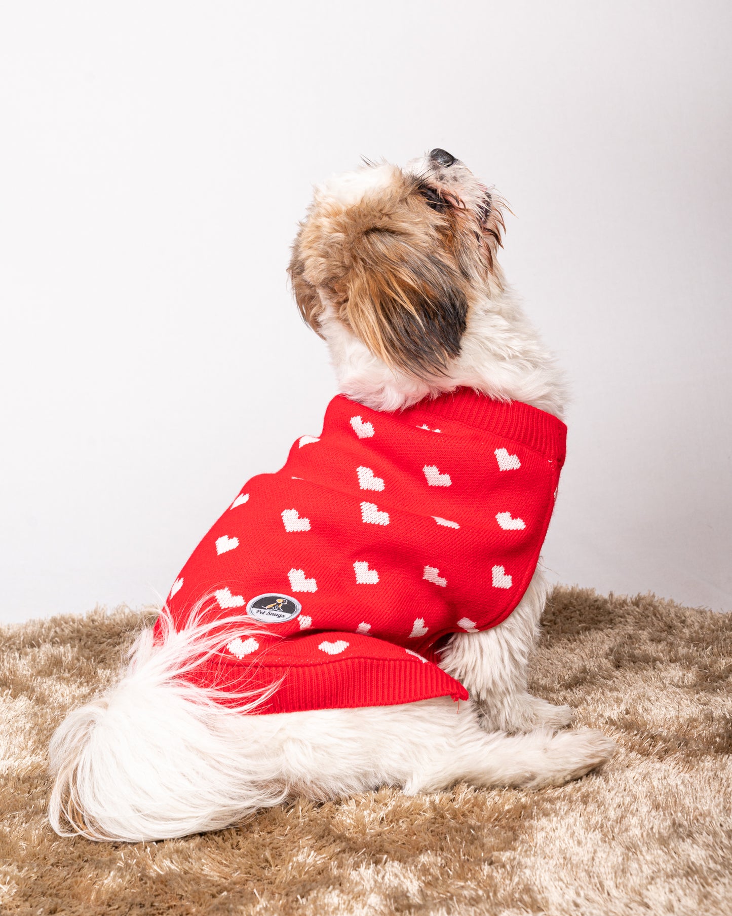 Petsnugs Red Heart Sweater - Red & White