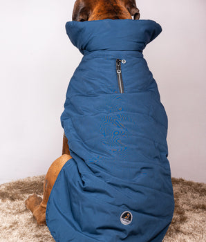 Pet snugs Blue Jacket - Royal Blue