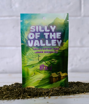 HRIKU Silly of The Valley - Naturally Grown Himalayan Catnip Treat for Cats - 25 gm