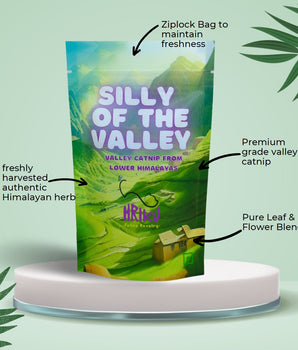 HRIKU Silly of The Valley - Naturally Grown Himalayan Catnip Treat for Cats - 25 gm