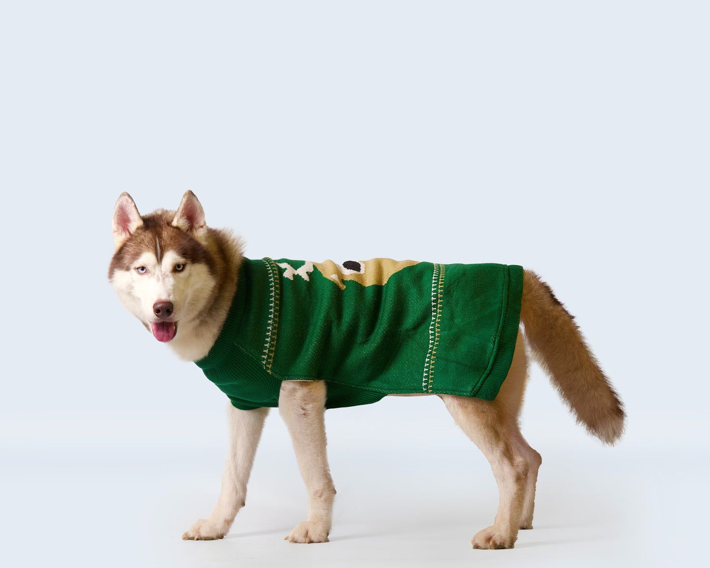 Pet snugs Green Reindeer Sweater - Dark Green