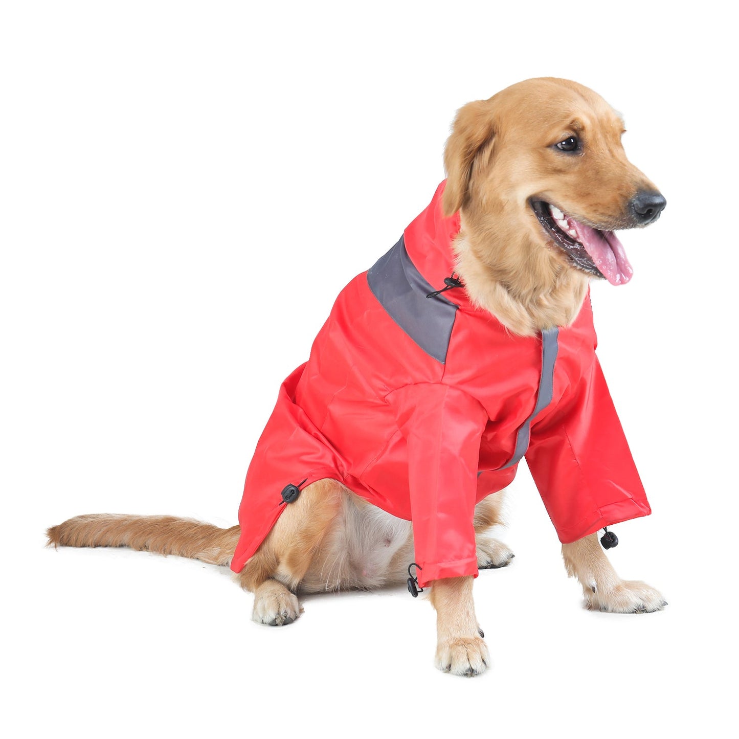 Raincoats For Dogs