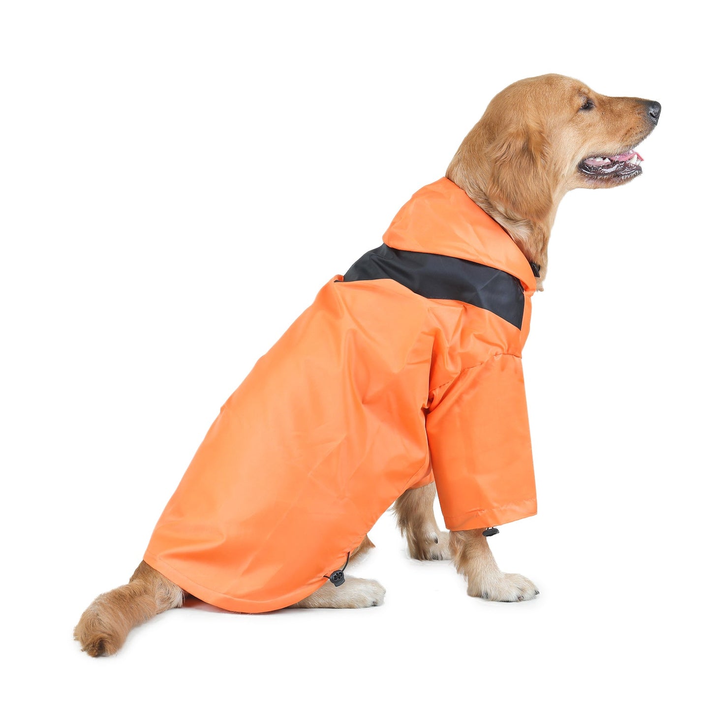 Raincoats For Dogs