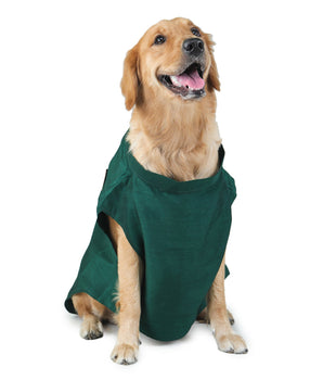 Green Dog Sherwani