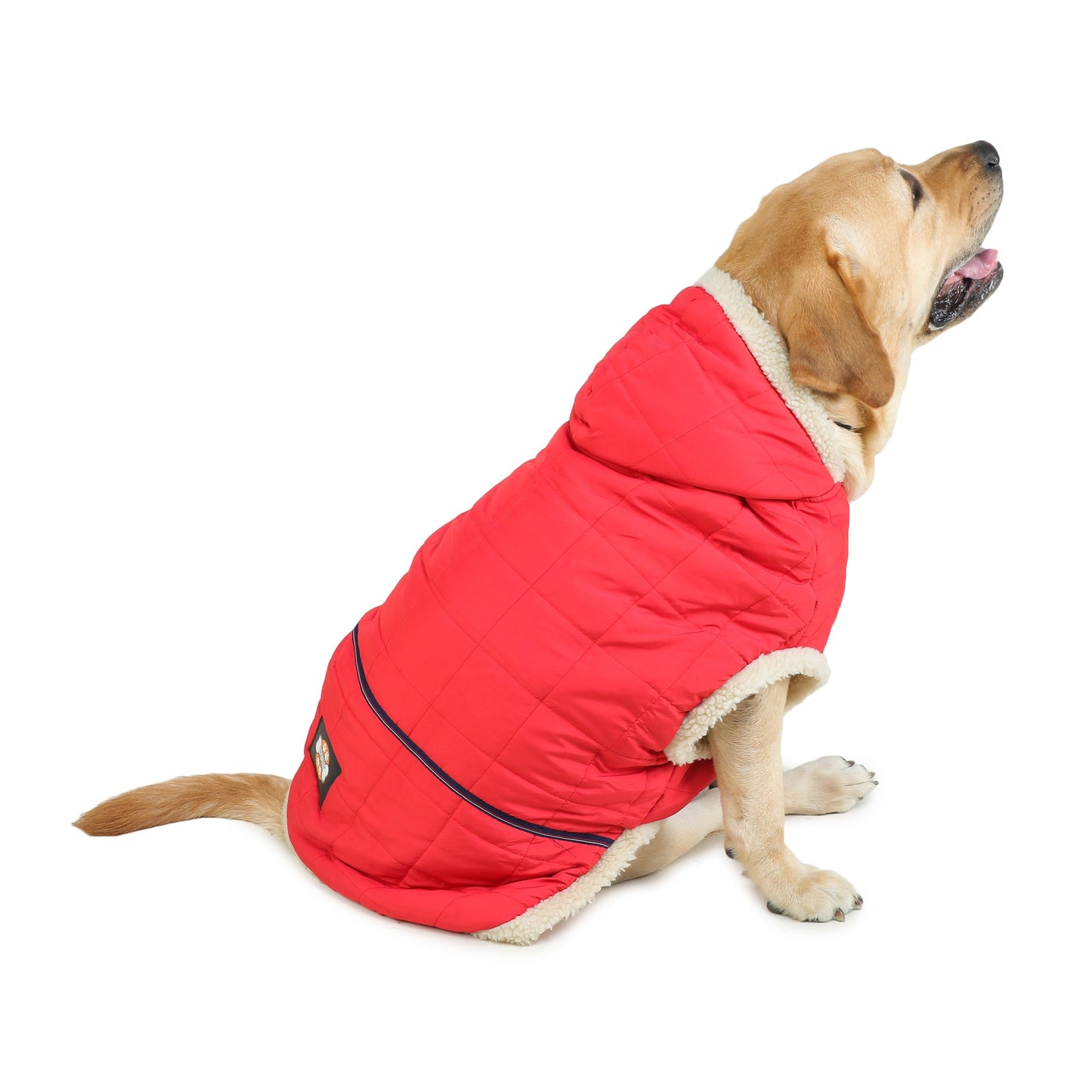 Raspberry Fur Dog Jacket