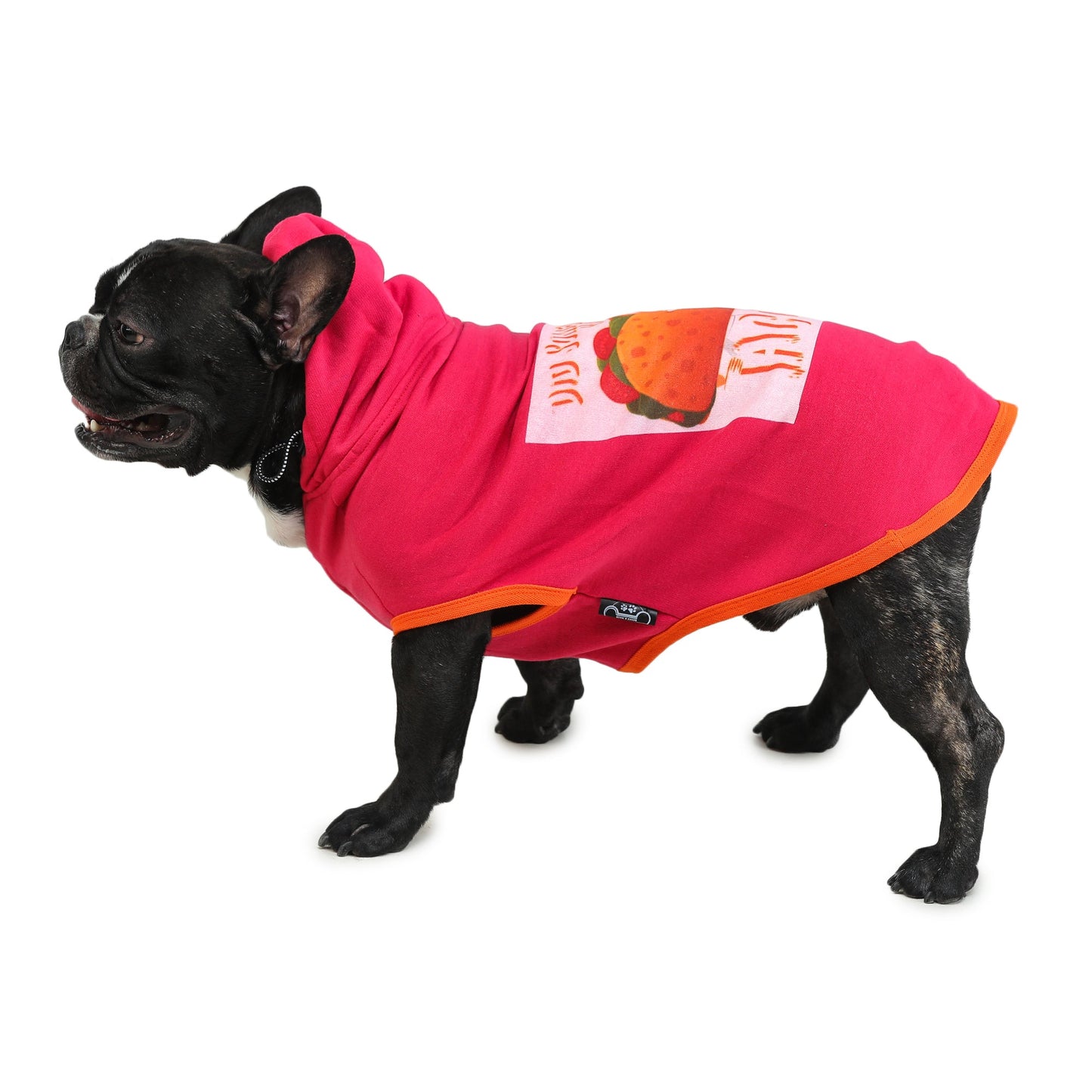 Dog Hoodie (Did Someone Say Tacos?)