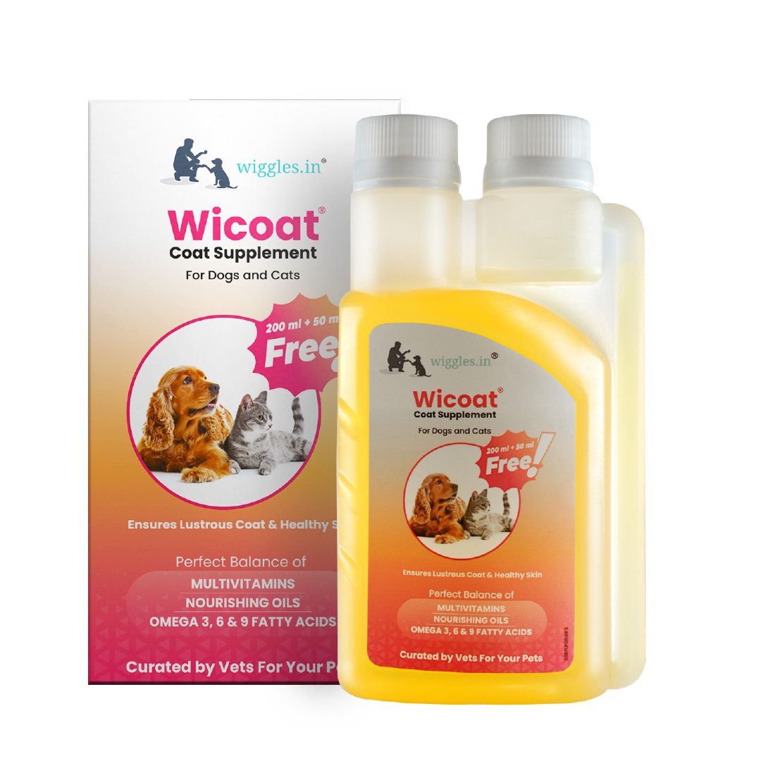 Wicoat Skin and Coat Supplement for Cats & Dogs, 250ml - Prevents shedding, dandruff & skin allergy