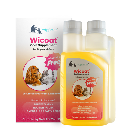 Wicoat Skin and Coat Supplement for Cats & Dogs, 250ml - Prevents shedding, dandruff & skin allergy