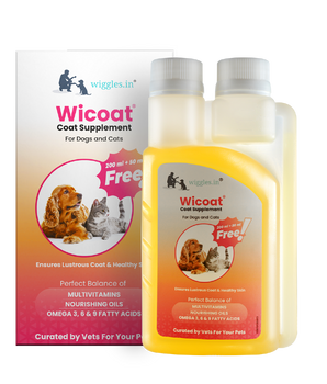 Wicoat Skin and Coat Supplement for Cats & Dogs, 250ml - Prevents shedding, dandruff & skin allergy
