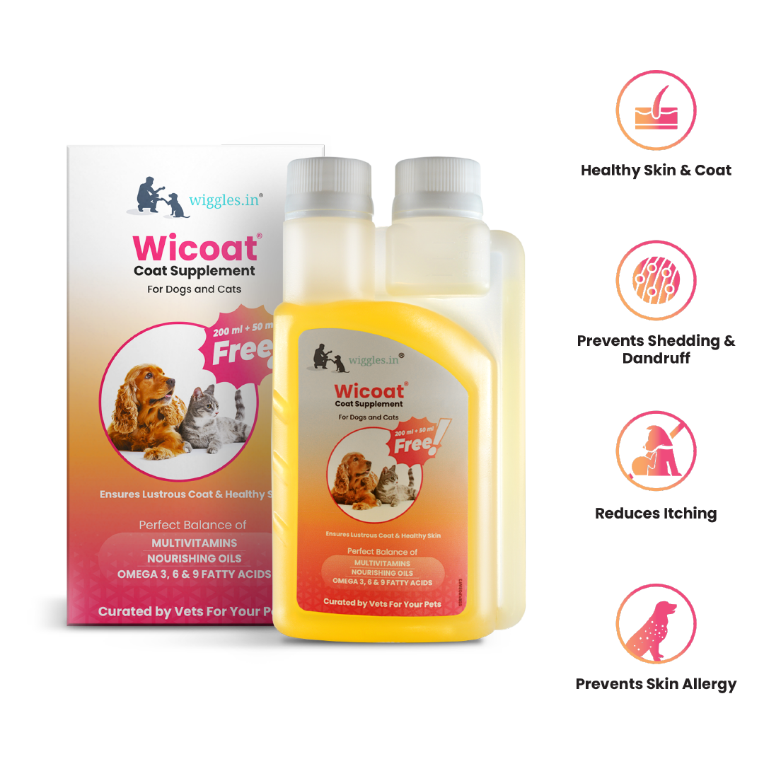 Wicoat Skin and Coat Supplement for Cats & Dogs, 250ml - Prevents shedding, dandruff & skin allergy