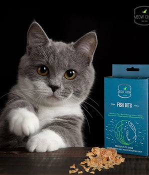 Fish Bits 50gms