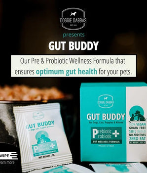 Gut Buddy | Pre & Probiotic Supplement | 1g x 20 sachets