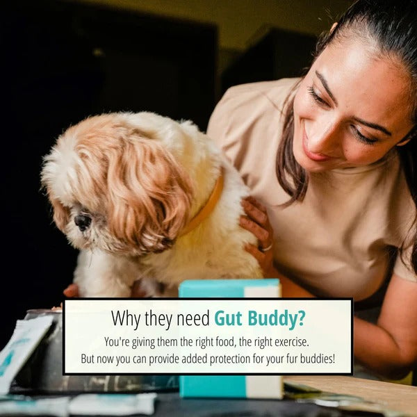 Gut Buddy | Pre & Probiotic Supplement | 1g x 20 sachets
