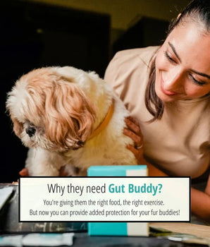Gut Buddy | Pre & Probiotic Supplement | 1g x 20 sachets