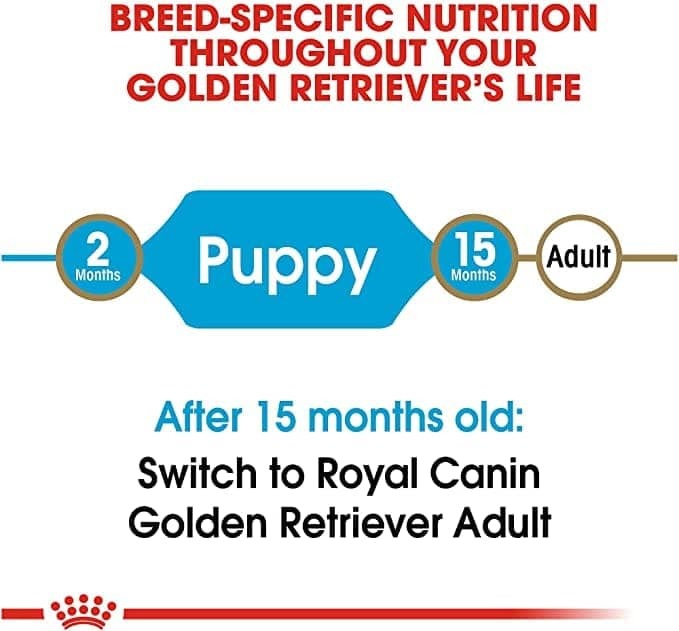 Royal Canin Golden Retriever Junior Dry Puppy Food