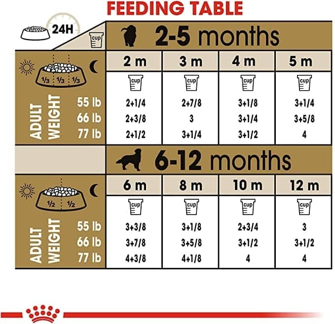 Royal Canin Golden Retriever Junior Dry Puppy Food