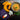 Cottage Cheese & Pumpkin(200gms)