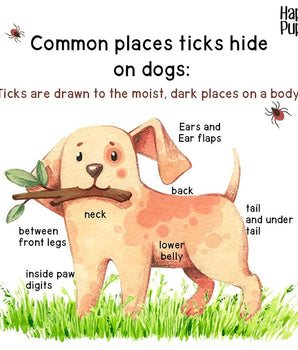 Tick Bomb: Natural Anti-tick Spray 50 ml