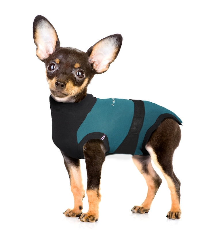MAXX Recovery Suit for Dogs, E Collar Alternative - Peacock Blue Gray