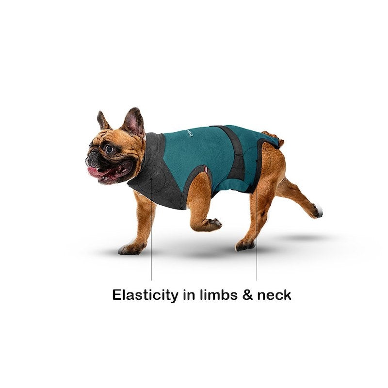 MAXX Recovery Suit for Dogs, E Collar Alternative - Peacock Blue Gray