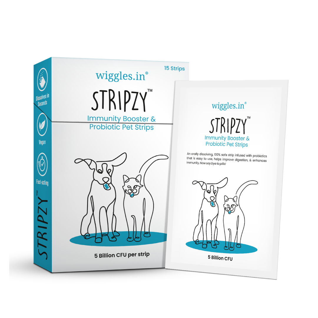 Stripzy Immunity Booster Probiotics Dogs Cats Pet, Ashwagandha Brahmi Health Strips (Blue Berry)