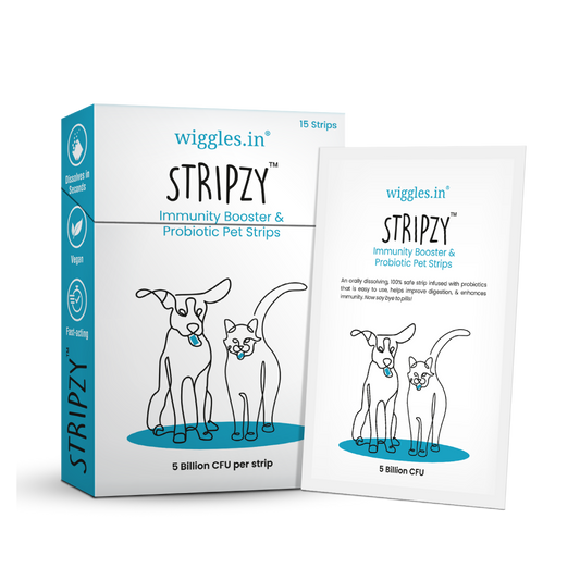 Stripzy Immunity Booster Probiotics Dogs Cats Pet, Ashwagandha Brahmi Health Strips (Blue Berry)