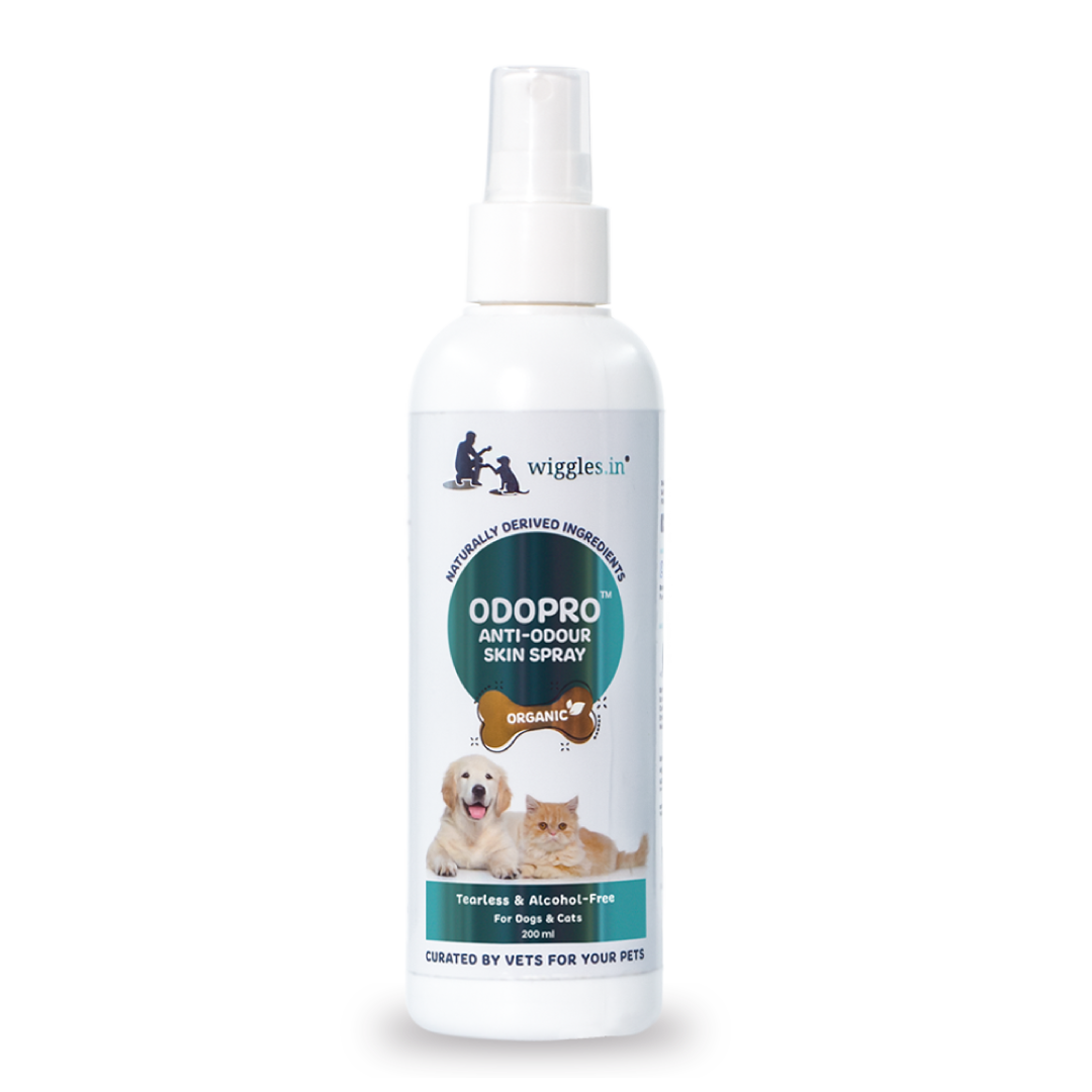 Tyohaar Taiyyar - Grooming Kit (Vetgenie Shampoo, Odopro Fragrance & Naturopet Dry Shampoo)