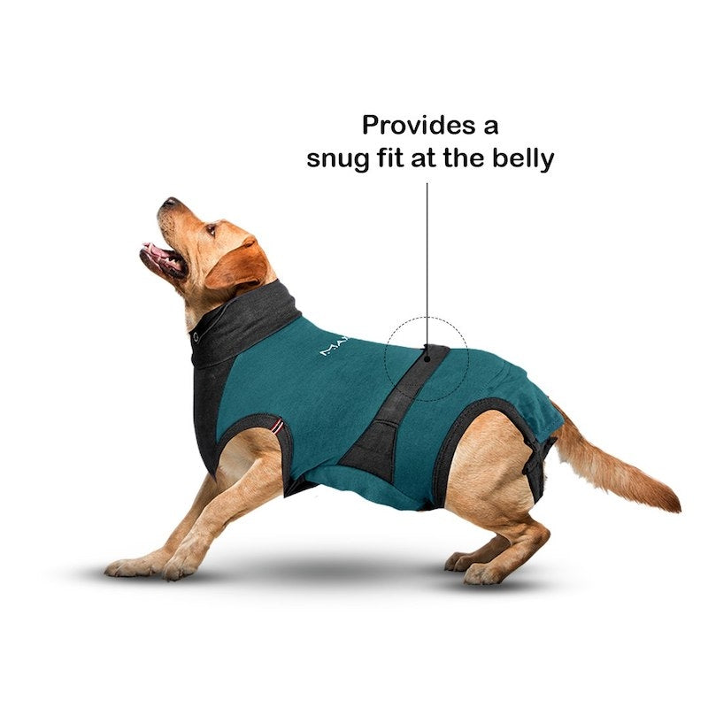 MAXX Recovery Suit for Dogs, E Collar Alternative - Peacock Blue Gray