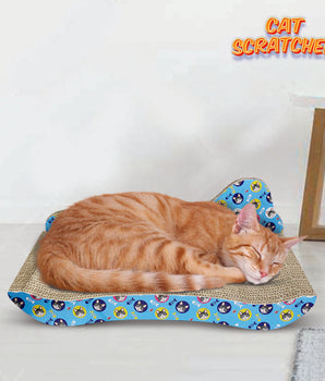 cat Scratcher toy