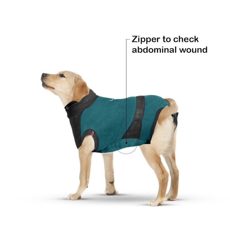 MAXX Recovery Suit for Dogs, E Collar Alternative - Peacock Blue Gray