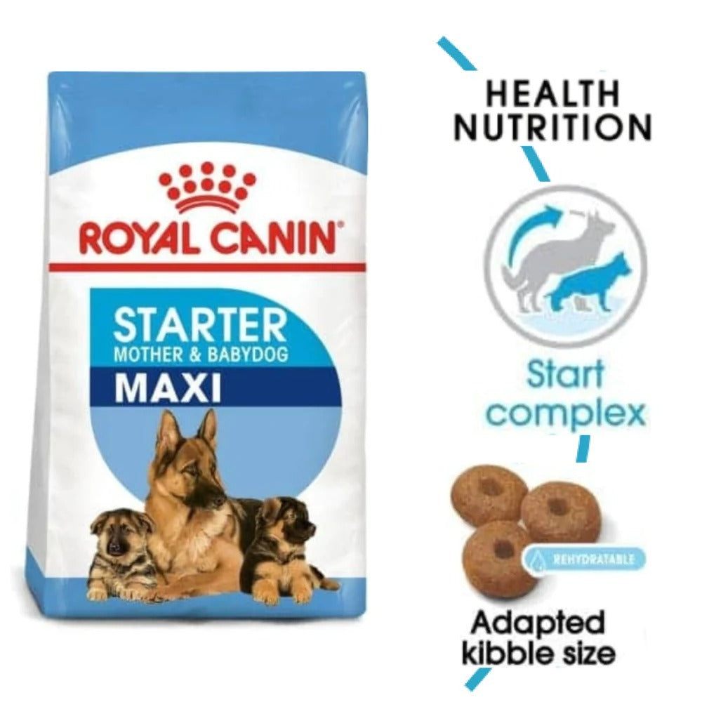 Royal Canin Maxi Starter Dry Food for Large Breed Dog and Puppies