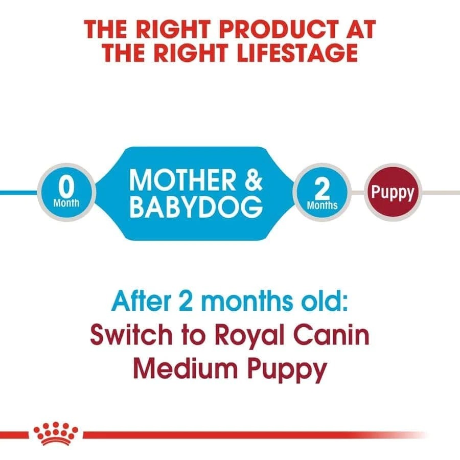 Royal Canin Medium Starter Dry Food for Medium Breed Dog and Puppies