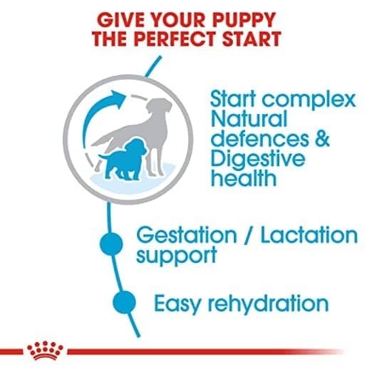 Royal Canin Medium Starter Dry Food for Medium Breed Dog and Puppies