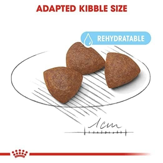 Royal Canin Medium Starter Dry Food for Medium Breed Dog and Puppies