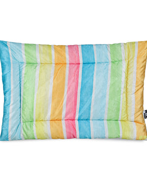 Dog Mat (Rainbow)