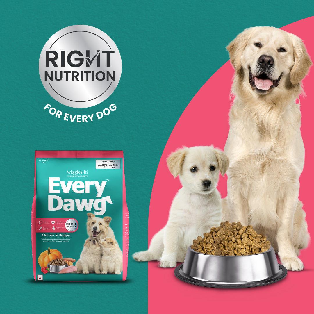 EveryDawg Mother & Puppy (3-12 Weeks) Starter Dry Dog Food