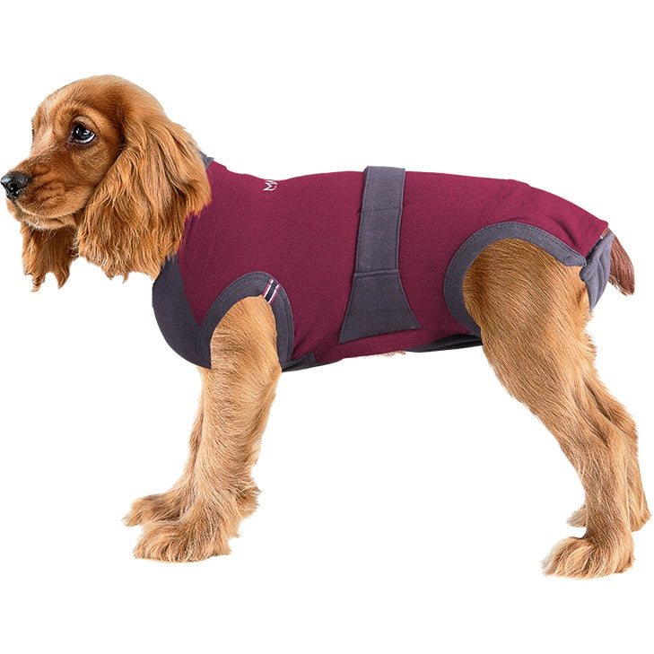 MAXX Recovery Suit for Dogs, E Collar Alternative - Ruby Red Gray
