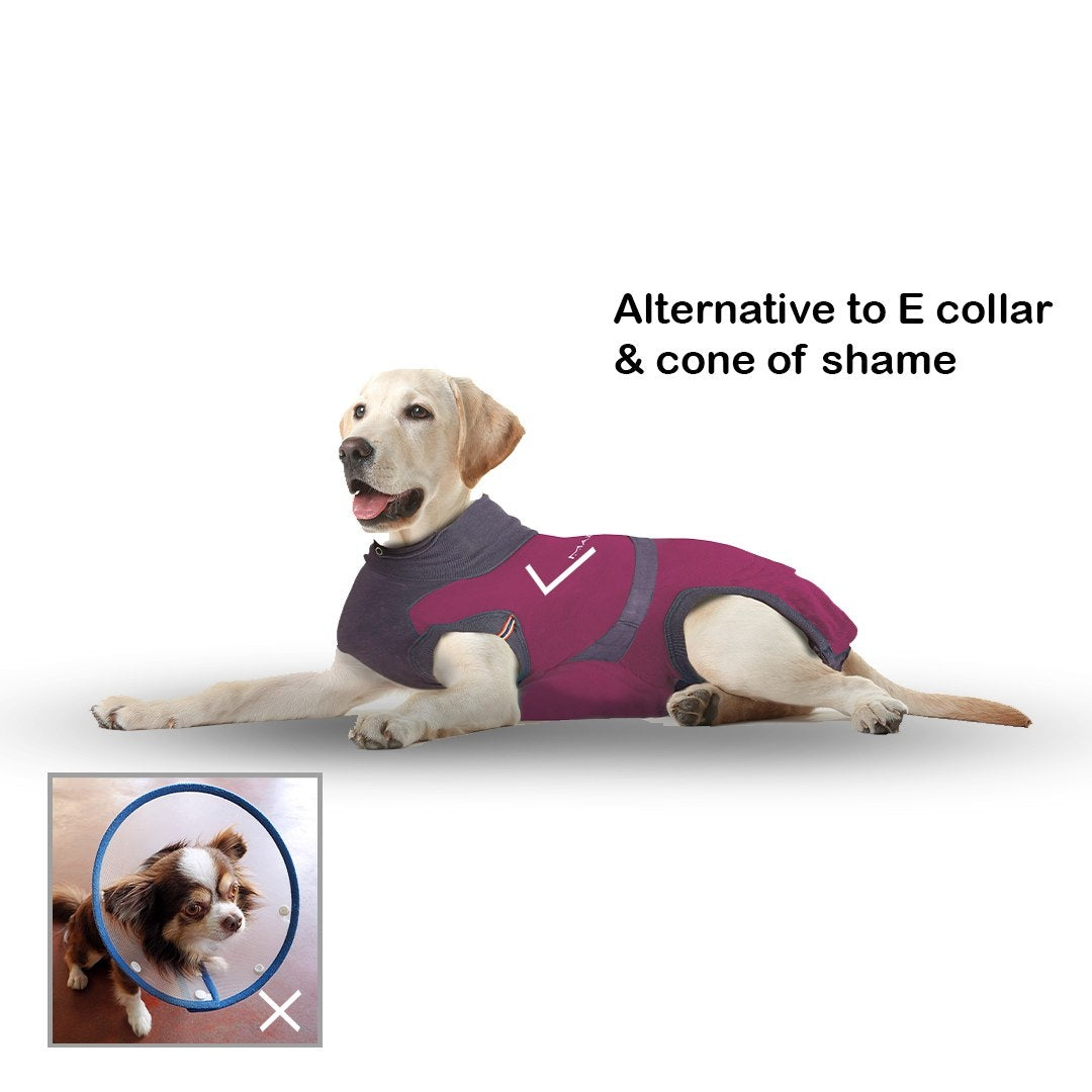 MAXX Recovery Suit for Dogs, E Collar Alternative - Ruby Red Gray