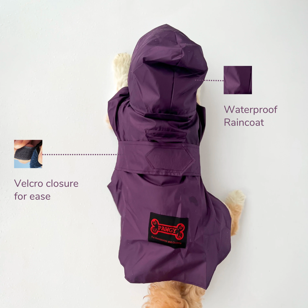 Raincoat: Purple