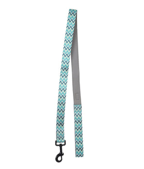 BASIL Zig-Zag Padded Leash for Dogs & Puppies (Green)