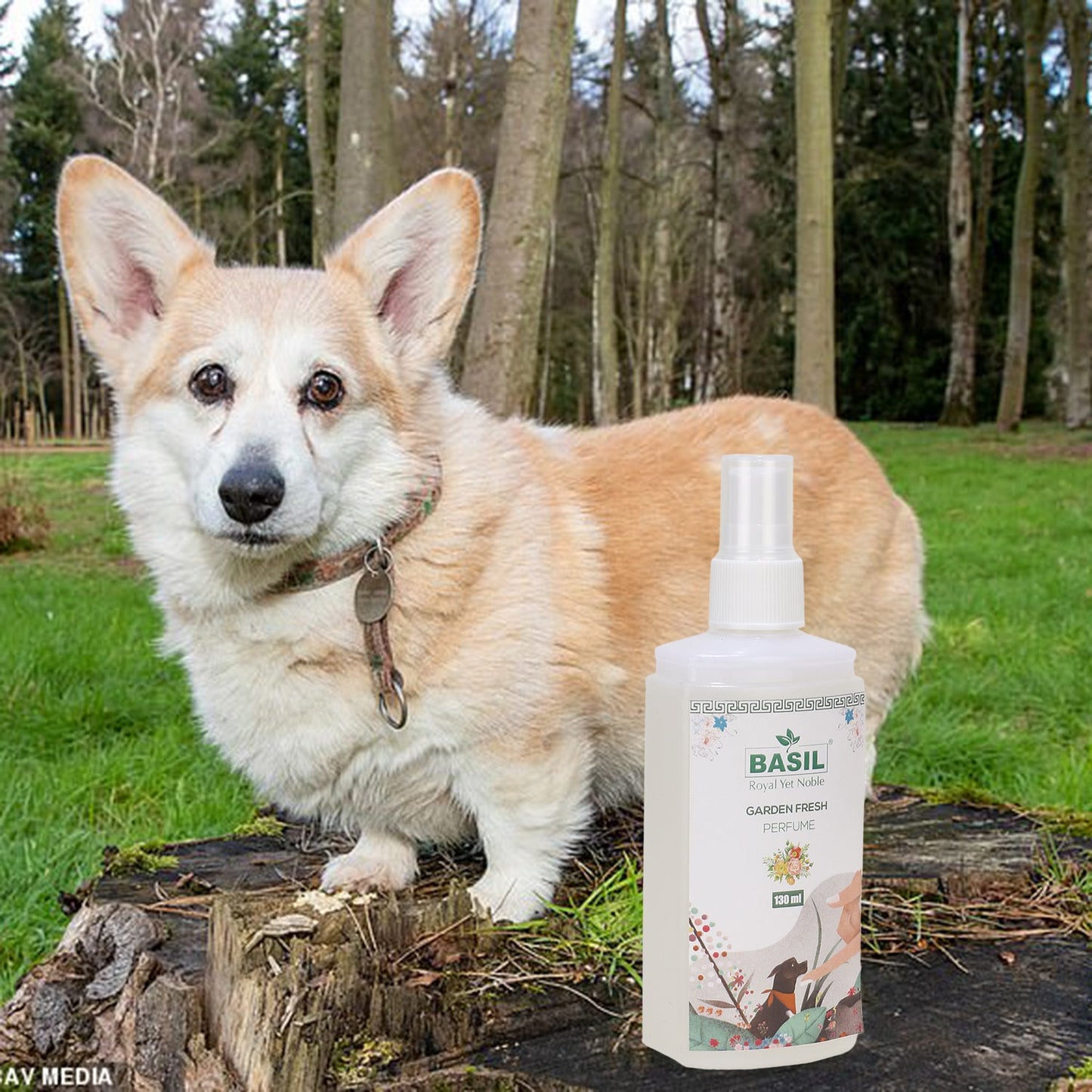 BASIL Garden Fresh Perfume for Dogs, 130ml
