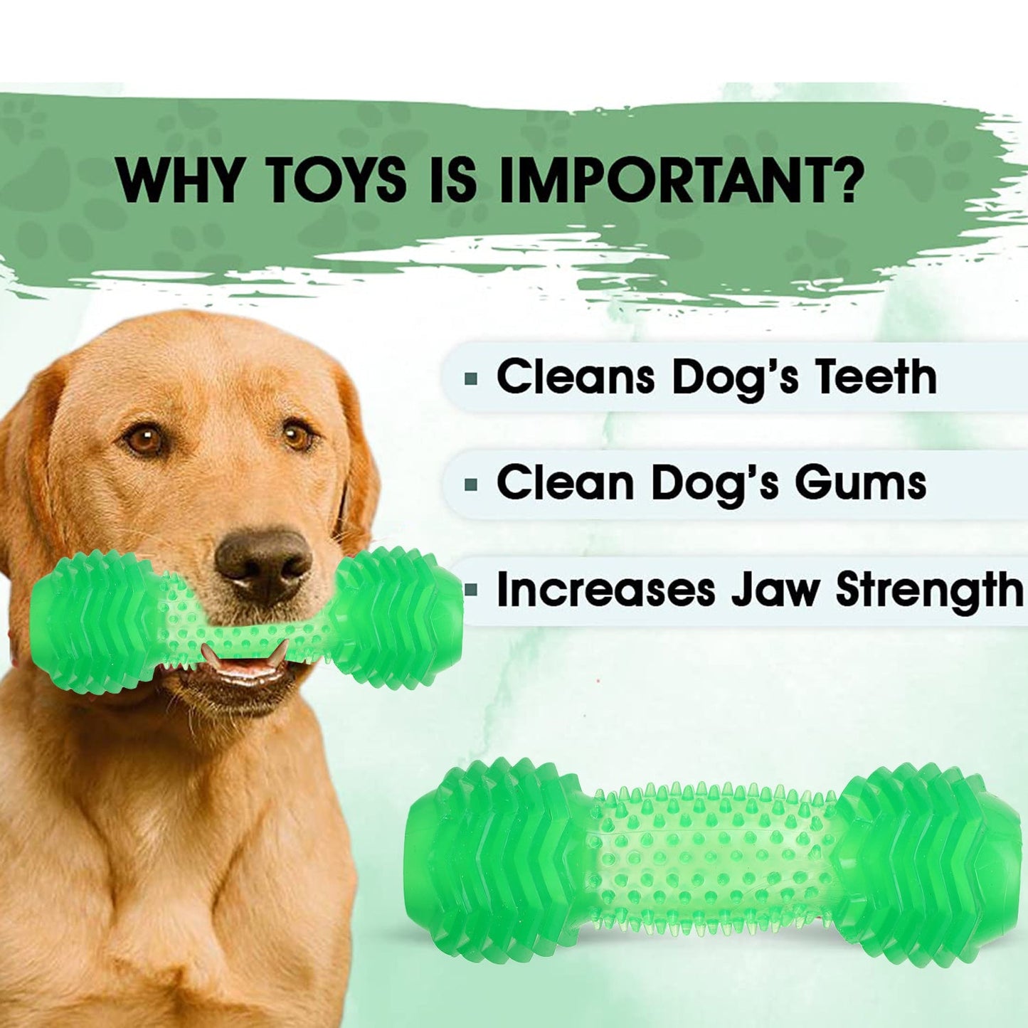 BASIL Green Dumbbell Toy with Hollow Centre for Treats
