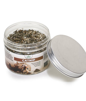 BASIL Catnip Jar for Kittens & Cats, Pure & Natural Cat Nip