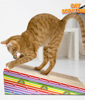 cat Scratcher toy
